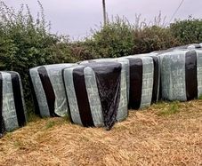 Wrapped Bales