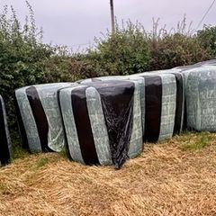 Wrapped Bales