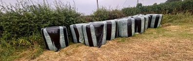 Wrapped Bales