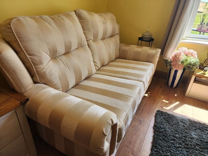 Two identical 2 seater couches