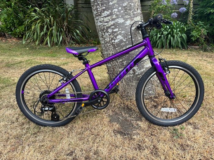 Kid's Bike - Giant 20"