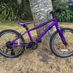 Kid's Bike - Giant 20"
