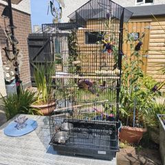 bird cage