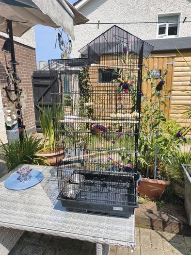 bird cage
