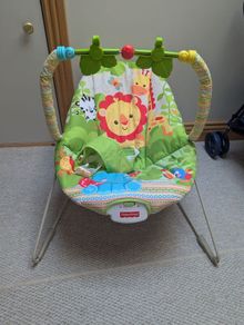 Fisher Price Bouncer