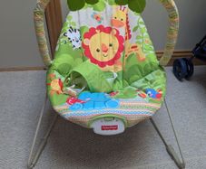 Fisher Price Bouncer