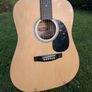 Stag SW201 Acoustic Guitar Image 2