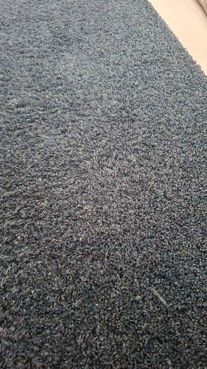 Shaggy blue rug