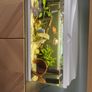 fish Image 5