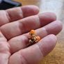 Vintage small hypo allergenic earrings Image 4