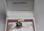 Pandora Silver Charm