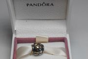 Pandora Silver Charm