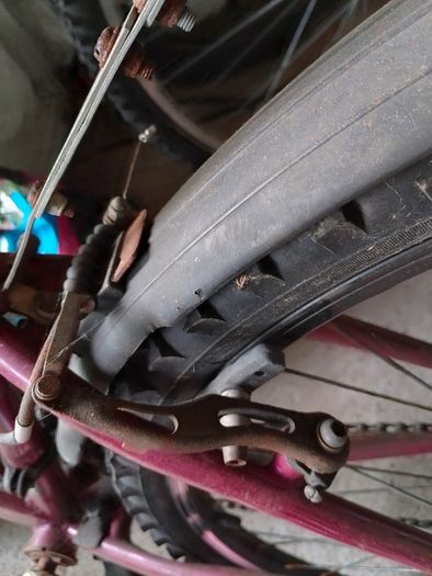 Free Raleigh Bike