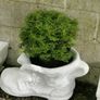 Very Large Boot Planter Image 6