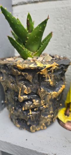 aloe vera