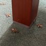 Solid Wood Coffee Table Image 3