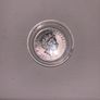 Coin Capsules Protective Cases for Bullion & Collectible Coins Image 5