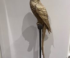 decorative parrot