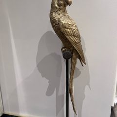 decorative parrot