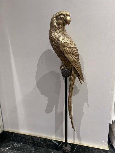 decorative parrot