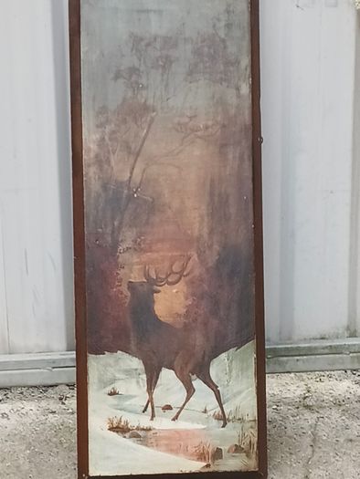 Stag