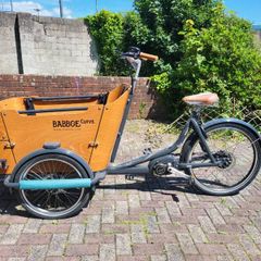 Cargo Bike Babboe Curve Mountain