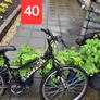 cheap bikes Image 4