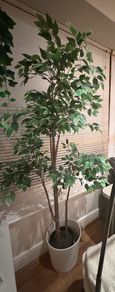 Ikea artificial plant