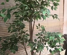 Ikea artificial plant