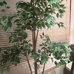 Ikea artificial plant