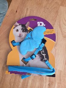 Cat Harness & Leash Angel Wings Harness