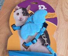 Cat Harness & Leash Angel Wings Harness
