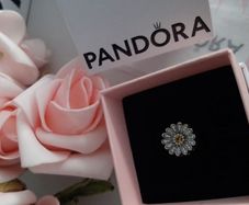 new genuine pandora reflections charm
