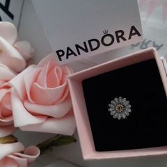 new genuine pandora reflections charm