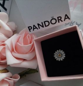 new genuine pandora reflections charm