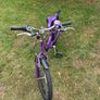 Bike Image 4