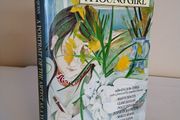 A Portrait of the Artist as a Young Girl Edited by John Quinn. With a Foreword by Seamus Heaney (HQ121)
