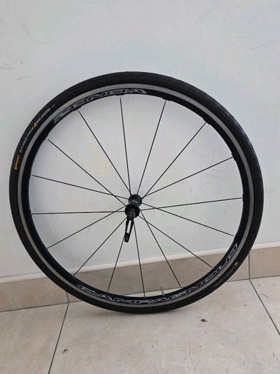 Giant Tcr Advanced Carbon + Campagnolo Zonda Whls