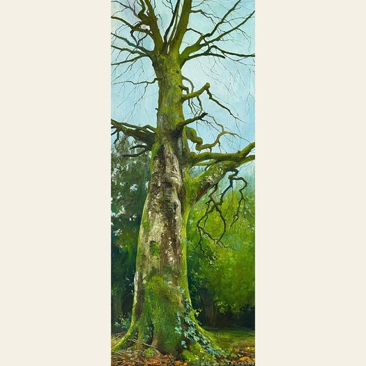 Original Oil on Canvas 20x50cm - The Tree
