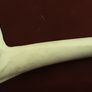 wade pipe rest and clay pipe Image 6