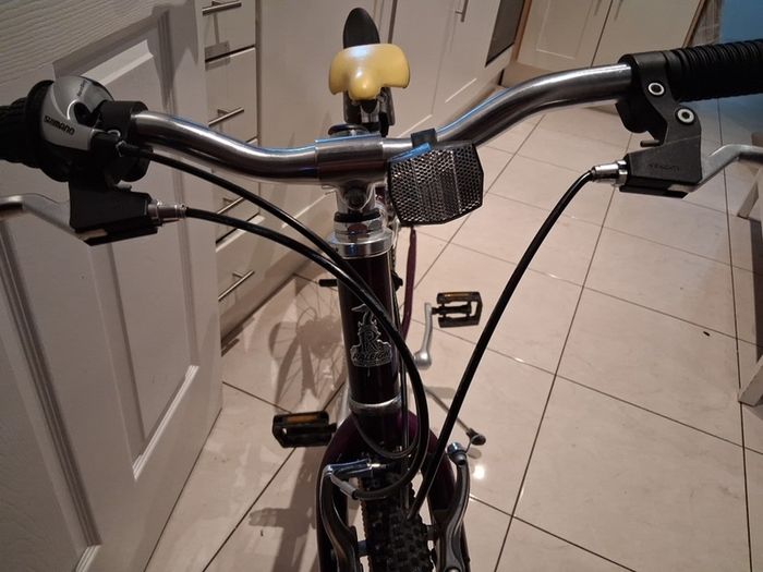 Older Girls Raleigh bike 26"