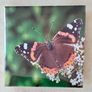 Fridge Magnets Image 5