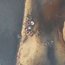 Japanese Maki-e Antique Wooden Bowl Image 6