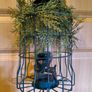 Bird feeder Image 5