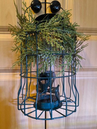 Bird feeder