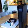 Playstation 5 Image 2