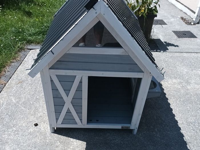 Dog house