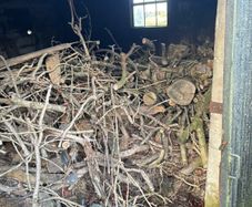 Firewood