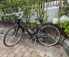 Giant Escape Hybrid Bike Shimano 8 Speed, Rack & Mudguards