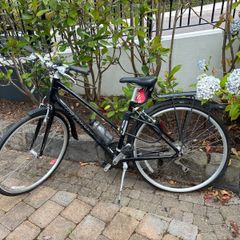 Giant Escape Hybrid Bike Shimano 8 Speed, Rack & Mudguards